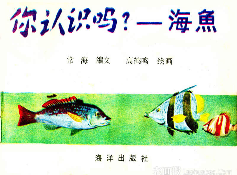 你认识吗？--海鱼   绘画:高鹤鸣 1984年期 老画报网
