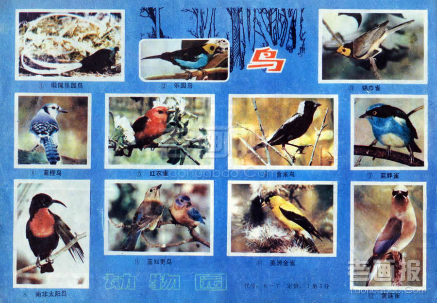 ��   ��Ӱ:���� ��ͯ����1984��2�� �ϻ����� 